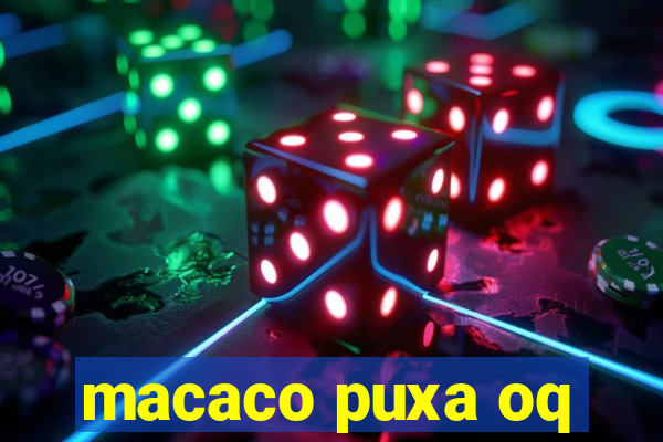 macaco puxa oq